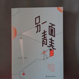 作业帮另一面青春青春励志文学谁的青春不迷茫21个故事教你直面困惑