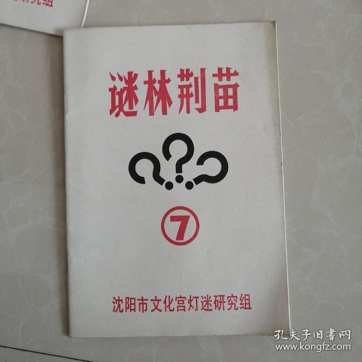 谜林荆苗7