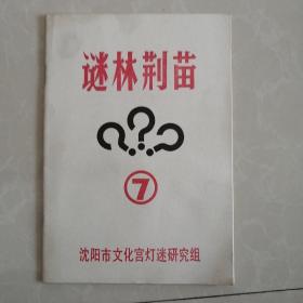 谜林荆苗7，