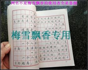 钢笔正楷行楷字帖