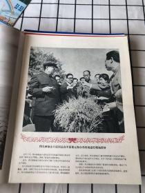 朝鲜画报1978年（1/2/3/4/5/6/9/10/11/12+专刊）共11期合售