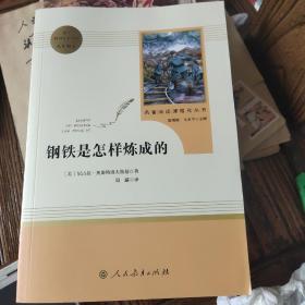 统编语文教材配套阅读 八年级下：钢铁是怎样炼成的/名著阅读课程化丛书