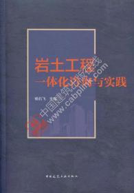 岩土工程一体化咨询与实践 9787112260195 杨石飞 中国建筑工业出版社 蓝图建筑书店