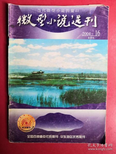 微型小说选刊2004年16期