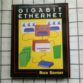 GIGABIT ETHERNET RICH SEIFERT 千兆位以太网富塞弗特 16开本