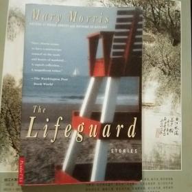 The Lifeguard: Stories