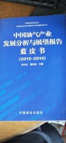 中国油气产业发展分析与展望报告蓝皮书. 2013～
2014