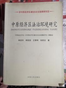 中原经济区法治环境研究（中原经济区建设法治保障研究）