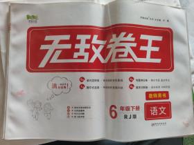 无敌卷王教师用书 语文六年级下册（RJ版）看图