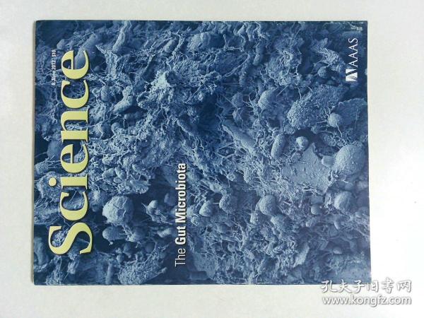 外文原版科学杂志 Science 2012/06/08 VOL.336 1197-1352 NO.6086 学术权威期刊