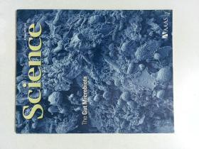 外文原版科学杂志 Science 2012/06/08 VOL.336 1197-1352 NO.6086 学术权威期刊