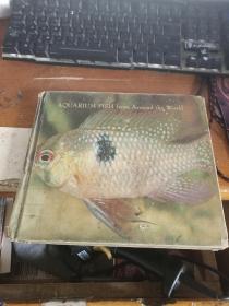 AQUARIUM FISH M 世界各地的水族馆鱼类  英文版