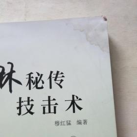 少林秘传技击术*