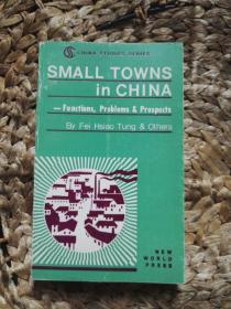 英文 SMALL TOWNS IN CHINA 费孝通《中国小城镇》