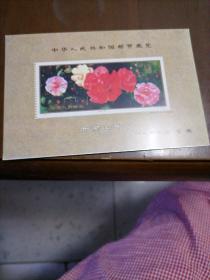 山茶花87（6一1）明信片