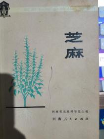 芝麻河南人民出版社