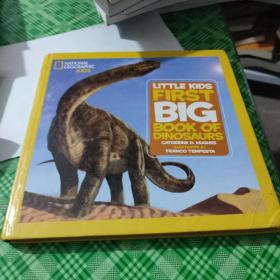 First Big Book of Dinosaurs