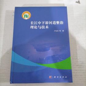 长江中下游河道整治理论与技术