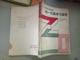 初一代数学习指导.