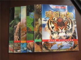 《视觉奇观 Eye Wonder》6本合售 ：猫科动物、恐龙、河流和湖泊、海洋、爬行动物、昆虫