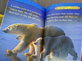 National Geographic Readers #2: Polar Bears