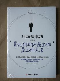 职场基本功:累死你的不是工作，是工作方法李文勇9787538596847