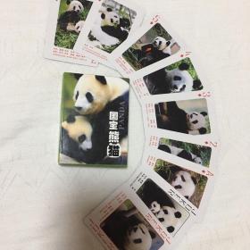 中国宝熊猫扑克