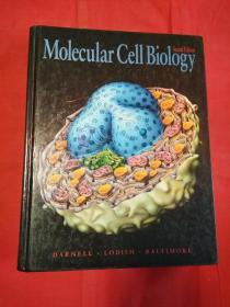 Molecular cellbiology