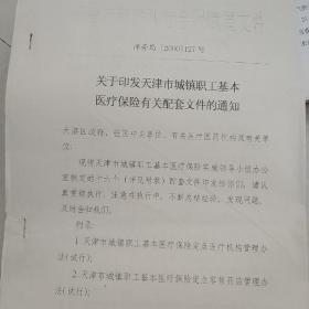 关于印发天津市城镇职工基本医疗保险有关配套文件的通知74页