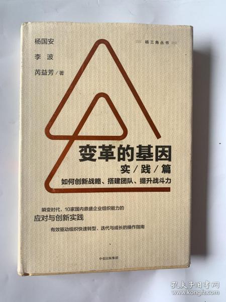 变革的基因：如何创新战略、搭建团队、提升战斗力（实践篇）