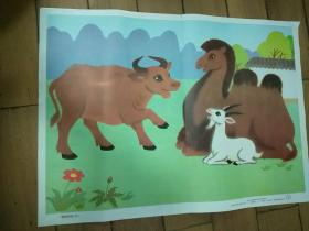 小学课本语文第三次教学挂图:骆驼和羊