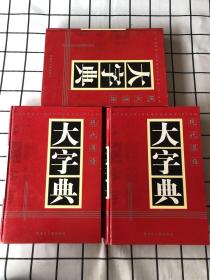 现代汉语大字典（上中下）全三册