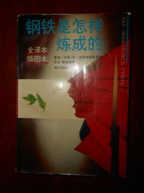 (漓江版)钢铁是怎样炼成的(全译本 插图本)1版9印（内页泛黄自然旧无勾划 品相看图）