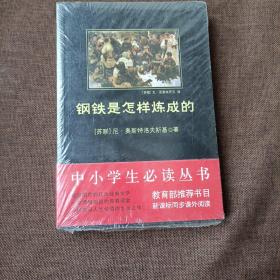 钢铁是怎样炼成的(平未翻无破损无字迹)