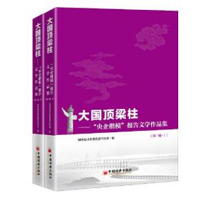 大国顶梁柱 央企楷模报告文学作品集 第三辑 上下册