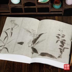 宋代百花图 中国历代经典绘画粹编宋画花鸟 画面分析 渊源考据 后世影响南宋百花图放大赏析鉴赏临摹