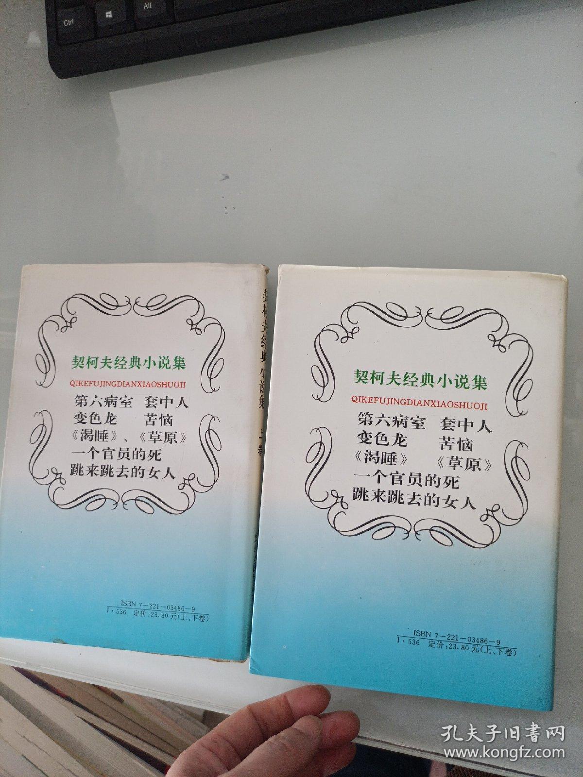 契诃夫经典小说集（上下）