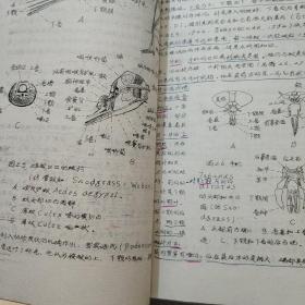 《昆虫学》（上下）1979年
内蒙古农牧学院翻印【刻印本】