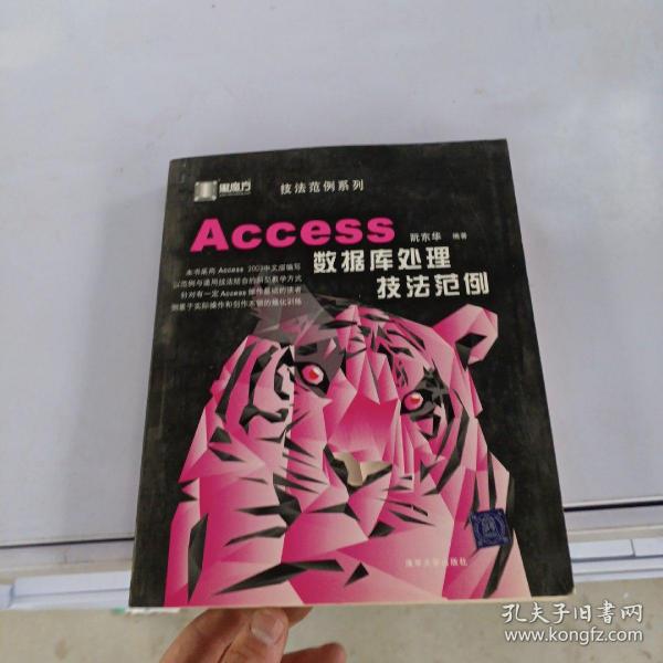 Access数据库处理技法范例