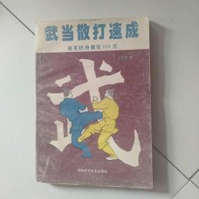 武当散打速成