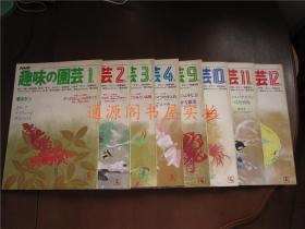 日文原版：趣味の園芸 NHK 8本合售：1、2、3、4、9、10、11、12（趣味园艺，大部分95品）