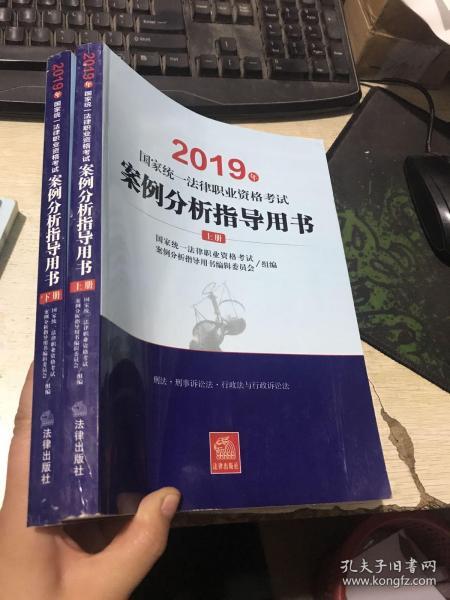 司法考试2019 2019年国家统一法律职业资格考试案例分析指导用书（全2册）