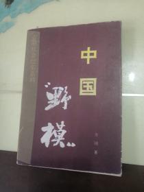 中国“野模”