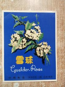 雪球【老商标】