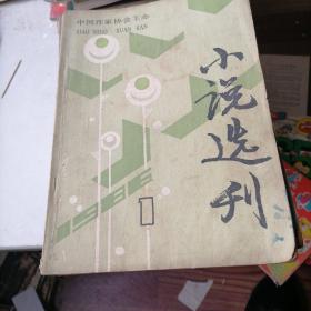 小说选刊杂志1986一（1一12），少2，11