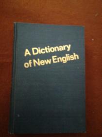 A DICTIONARY OF NEW ENGLISH