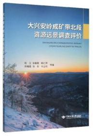 大兴安岭成矿带北段资源远景调查评价