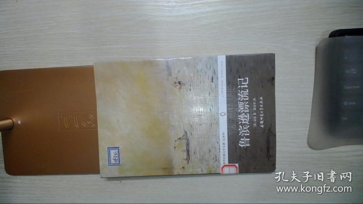 世界文学译丛：鲁滨逊漂流记