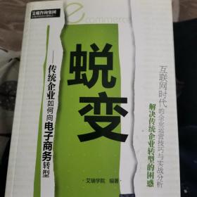 蜕变：传统企业如何向电子商务转型