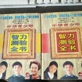 中华青少年智力测验全书（上中）